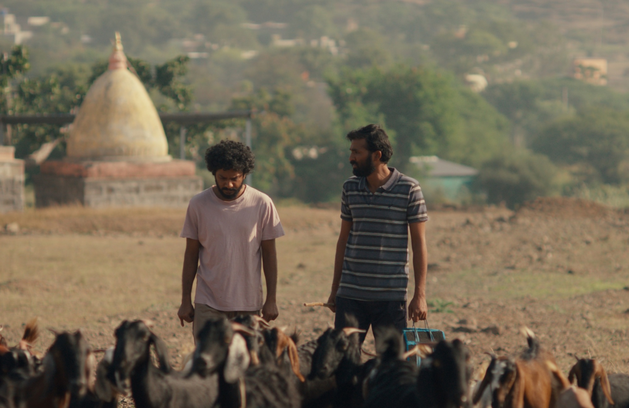 cactus pears marathi movie is set to be released on 19 september 2025